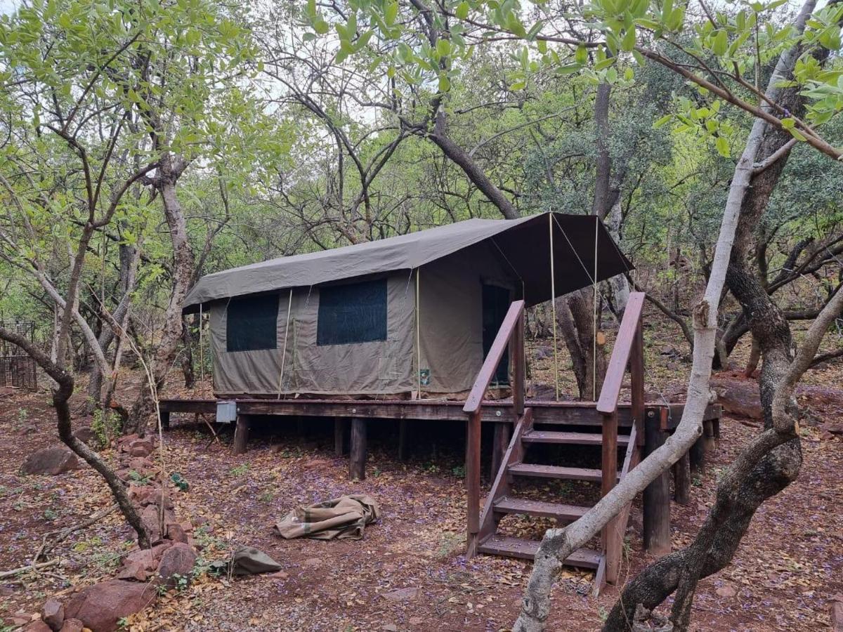 Waterfall Safari Lodge Winterkamp Luaran gambar