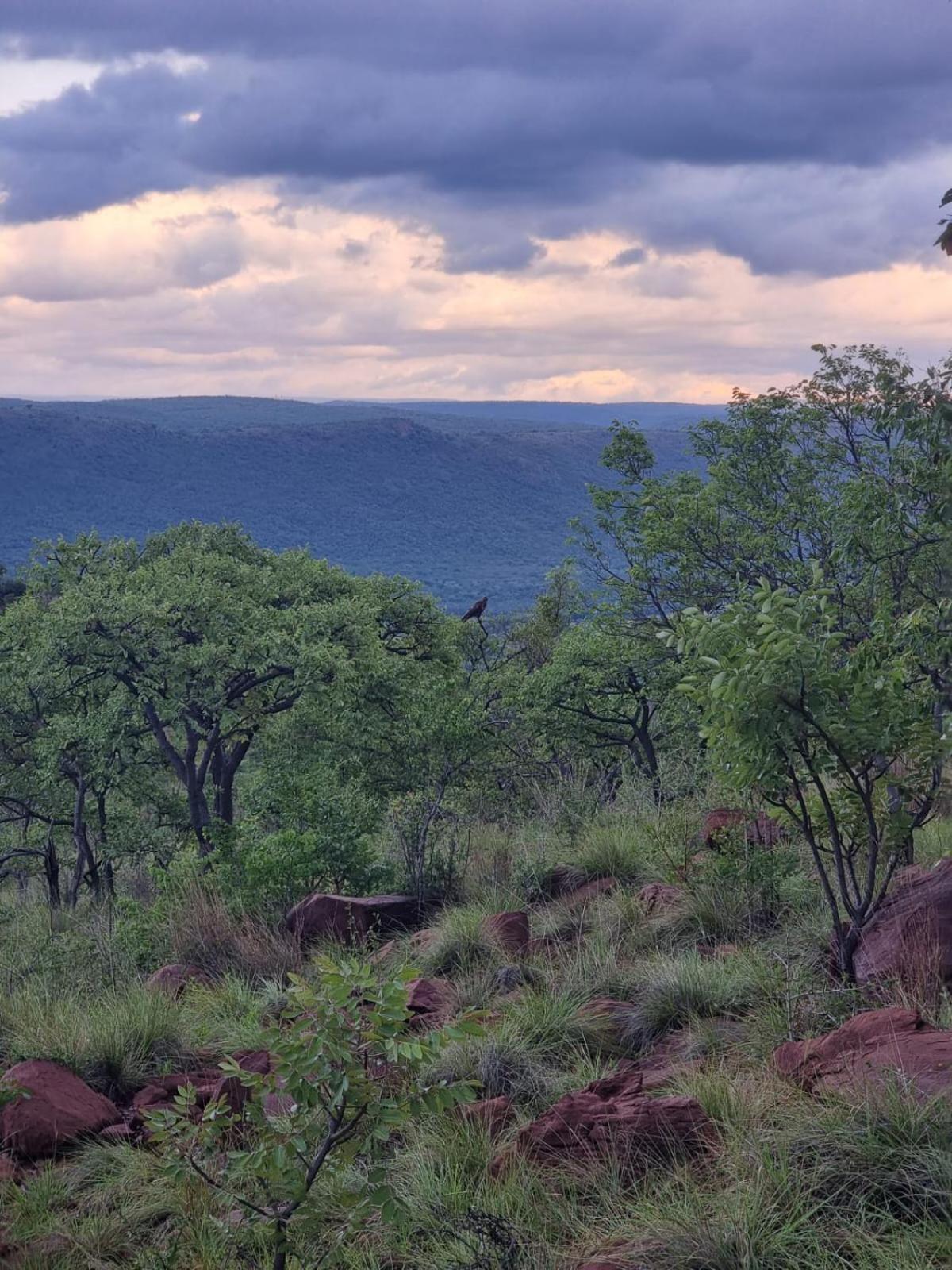Waterfall Safari Lodge Winterkamp Luaran gambar